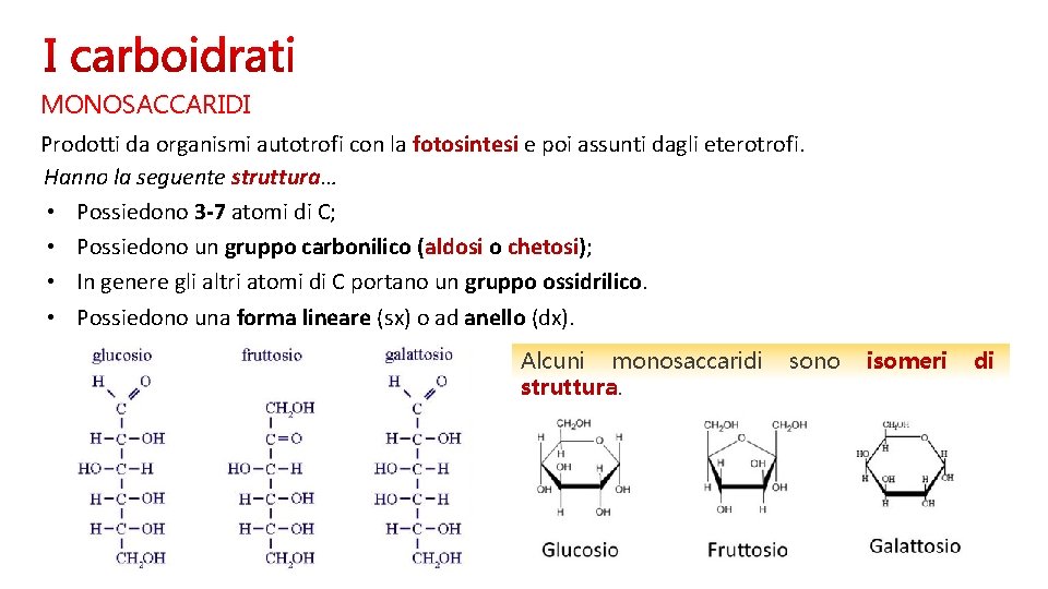 MONOSACCARIDI Prodotti da organismi autotrofi con la fotosintesi e poi assunti dagli eterotrofi. Hanno