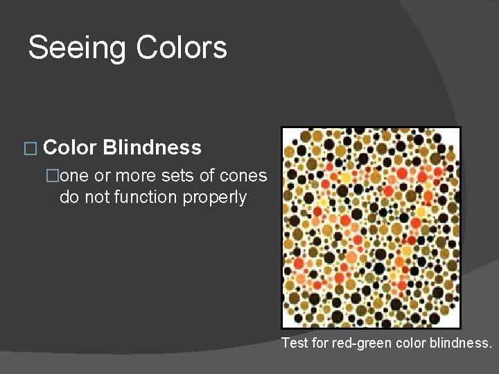 Seeing Colors � Color Blindness �one or more sets of cones do not function