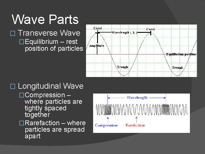 Wave Parts � Transverse Wave �Equilibrium – rest position of particles � Longitudinal Wave