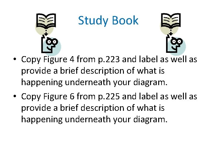 Study Book • Copy Figure 4 from p. 223 and label as well as