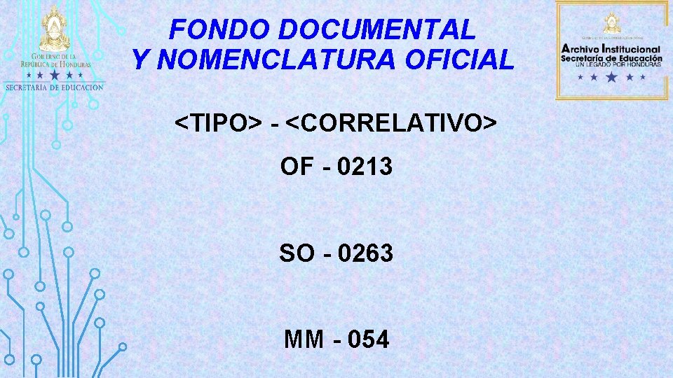 FONDO DOCUMENTAL Y NOMENCLATURA OFICIAL <TIPO> - <CORRELATIVO> OF - 0213 SO - 0263