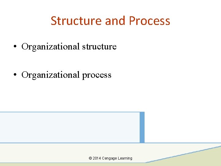 Structure and Process • Organizational structure • Organizational process © 2014 Cengage Learning 