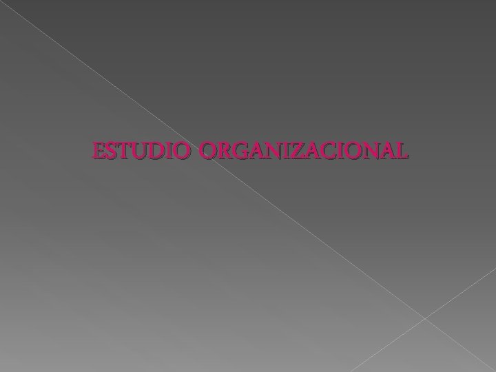 ESTUDIO ORGANIZACIONAL 