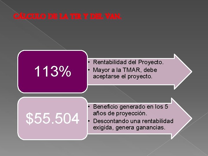 CÁLCULO DE LA TIR Y DEL VAN. 113% $55. 504 • Rentabilidad del Proyecto.