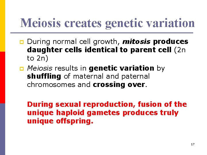 Meiosis creates genetic variation p p During normal cell growth, mitosis produces daughter cells