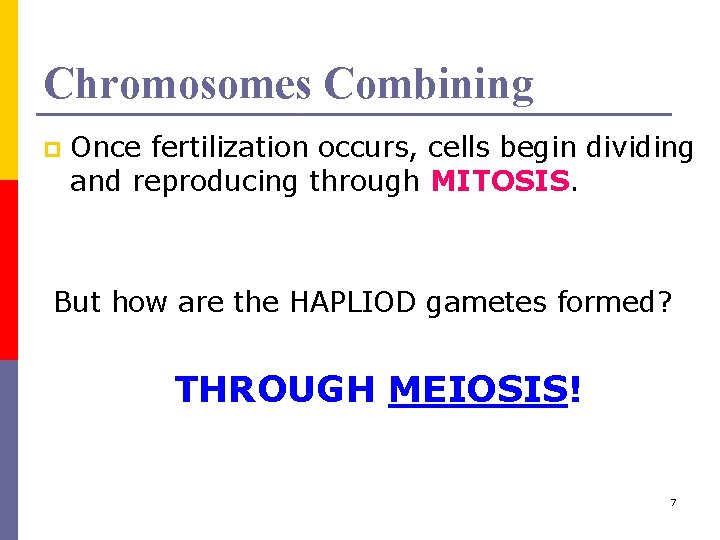 Chromosomes Combining p Once fertilization occurs, cells begin dividing and reproducing through MITOSIS. But