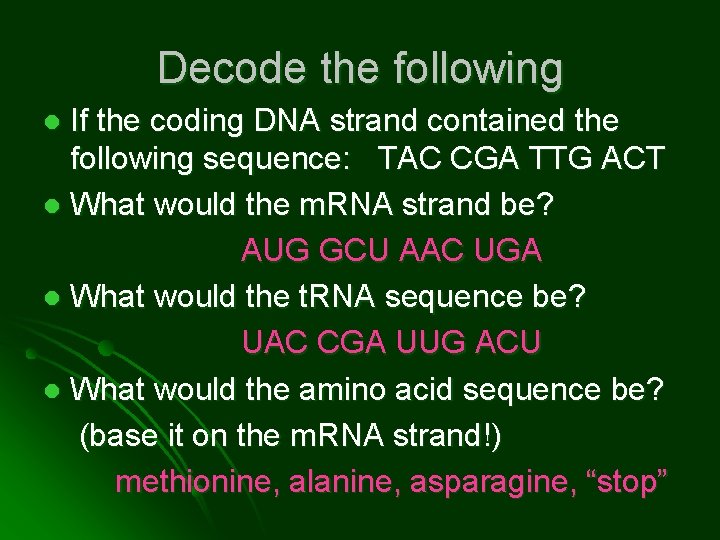 Decode the following If the coding DNA strand contained the following sequence: TAC CGA