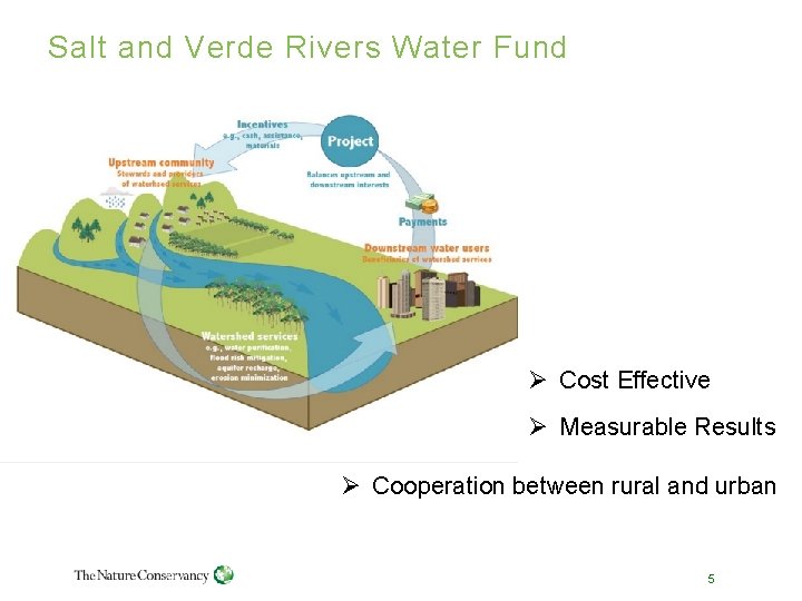 Salt and Verde Rivers Water Fund Ø Cost Effective Ø Measurable Results Ø Cooperation