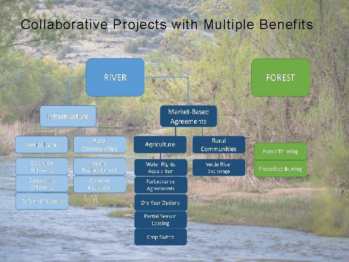 Collaborative Projects with Multiple Benefits 7 