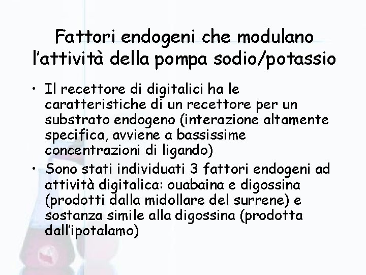 Fattori endogeni che modulano l’attività della pompa sodio/potassio • Il recettore di digitalici ha