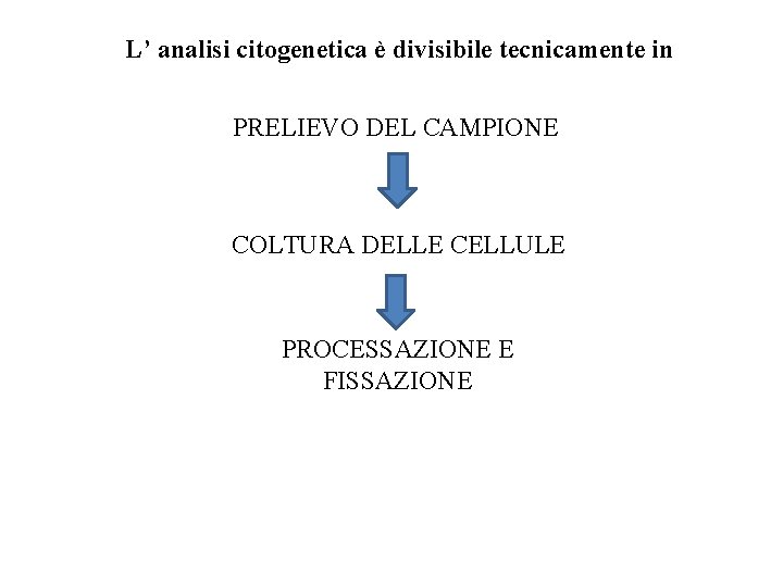 L’ analisi citogenetica è divisibile tecnicamente in PRELIEVO DEL CAMPIONE COLTURA DELLE CELLULE PROCESSAZIONE