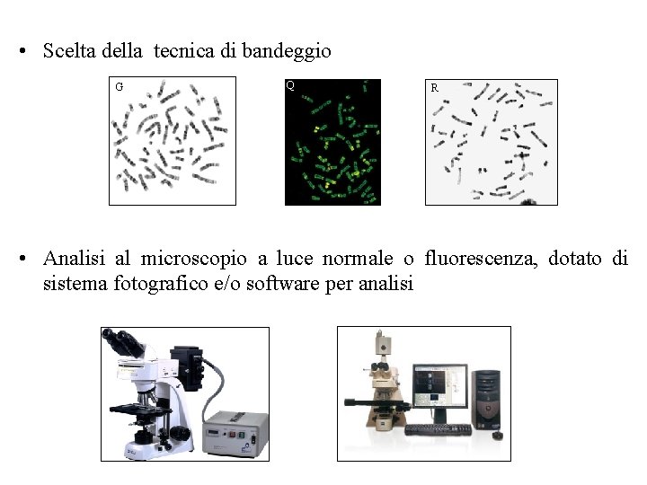  • Scelta della tecnica di bandeggio G Q R • Analisi al microscopio