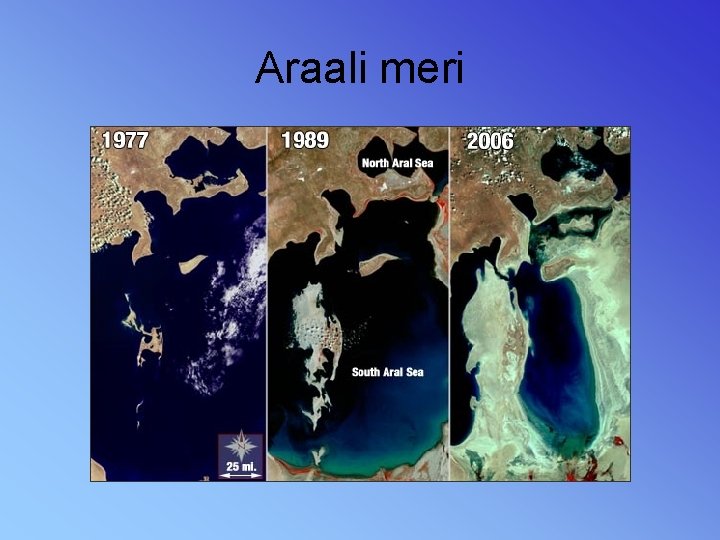 Araali meri 