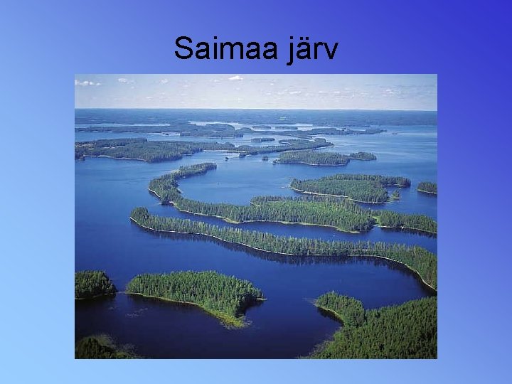 Saimaa järv 