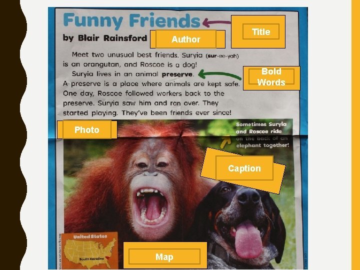 Author Title Bold Words Photo Caption Map 