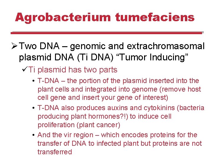 Agrobacterium tumefaciens Ø Two DNA – genomic and extrachromasomal plasmid DNA (Ti DNA) “Tumor Agrobacterium tumefaciens Ø Two DNA – genomic and extrachromasomal plasmid DNA (Ti DNA) “Tumor