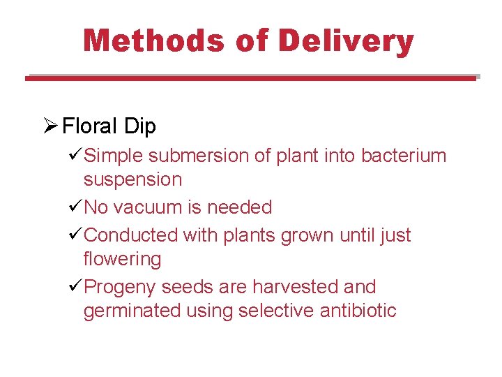 Methods of Delivery Ø Floral Dip üSimple submersion of plant into bacterium suspension üNo Methods of Delivery Ø Floral Dip üSimple submersion of plant into bacterium suspension üNo