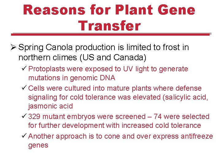 Reasons for Plant Gene Transfer Ø Spring Canola production is limited to frost in Reasons for Plant Gene Transfer Ø Spring Canola production is limited to frost in