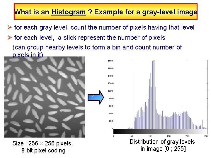 What is an Histogram ? Example for a gray-level image Ø for each gray