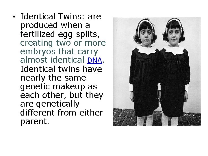  • Identical Twins: are produced when a fertilized egg splits, creating two or