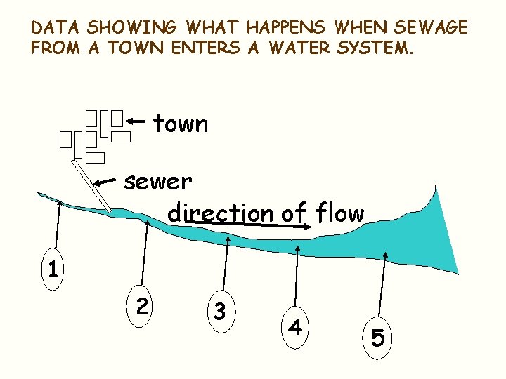 DATA SHOWING WHAT HAPPENS WHEN SEWAGE FROM A TOWN ENTERS A WATER SYSTEM. town