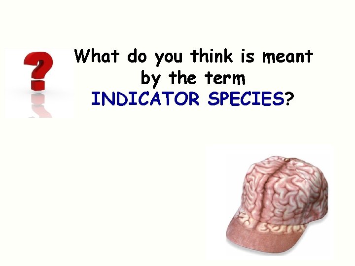 What do you think is meant by the term INDICATOR SPECIES? 