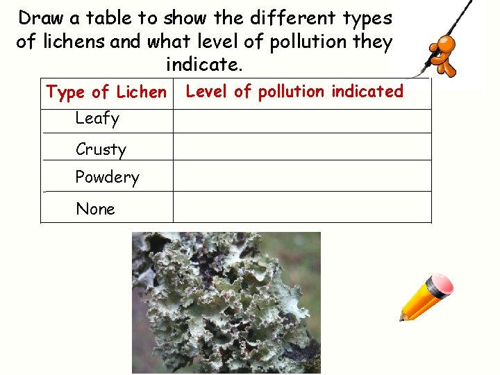 Draw a table to show the different types of lichens and what level of