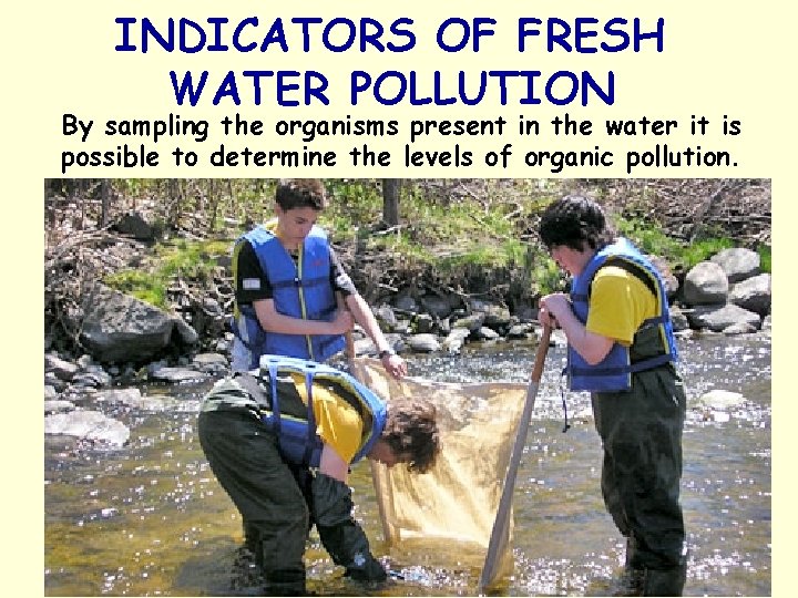 INDICATORS OF FRESH WATER POLLUTION By sampling the organisms present in the water it