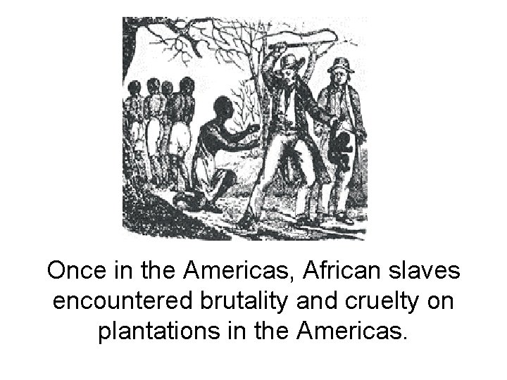 Once in the Americas, African slaves encountered brutality and cruelty on plantations in the