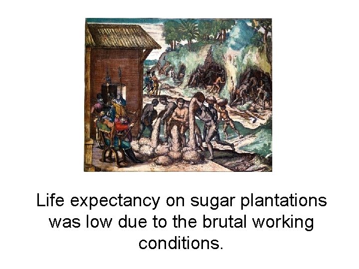 Life expectancy on sugar plantations was low due to the brutal working conditions. 