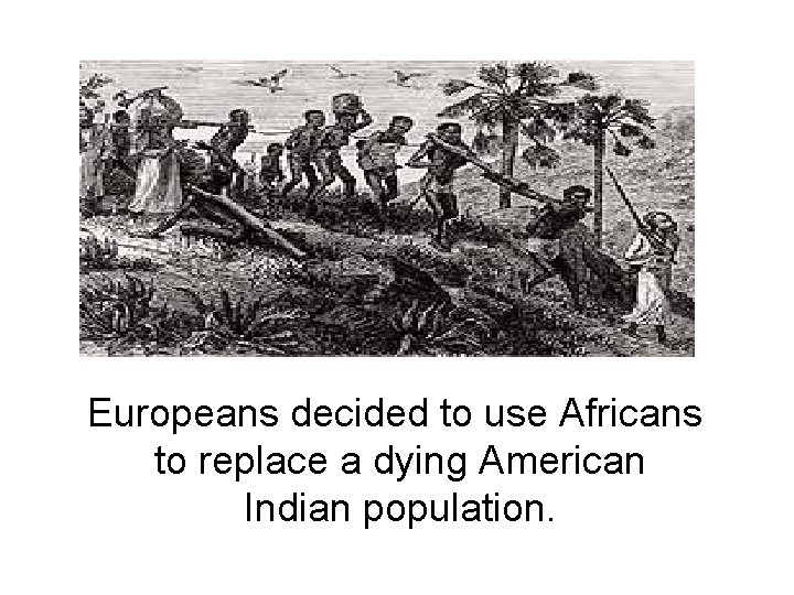 Europeans decided to use Africans to replace a dying American Indian population. 