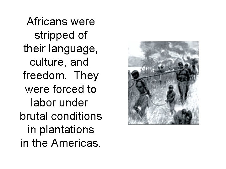 Africans were stripped of their language, culture, and freedom. They were forced to labor
