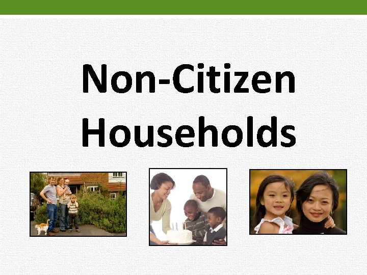 Non-Citizen Households 