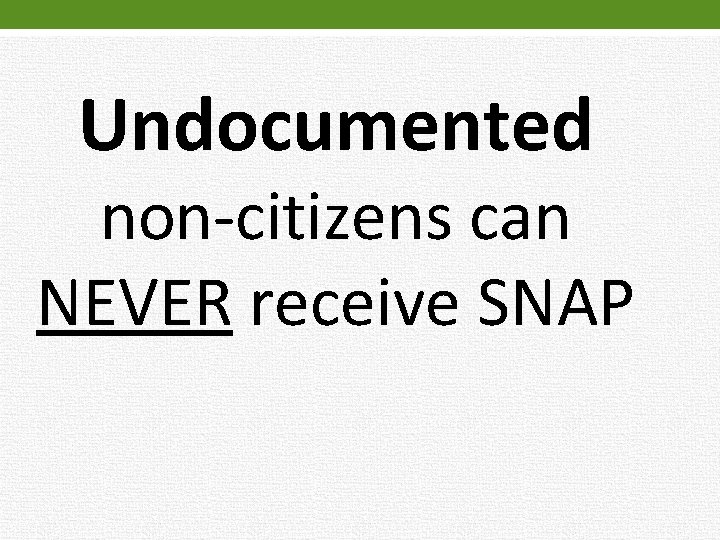 Undocumented non-citizens can NEVER receive SNAP 