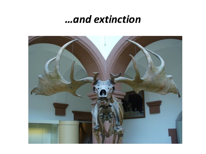 …and extinction 
