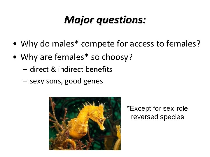Major questions: • Why do males* compete for access to females? • Why are