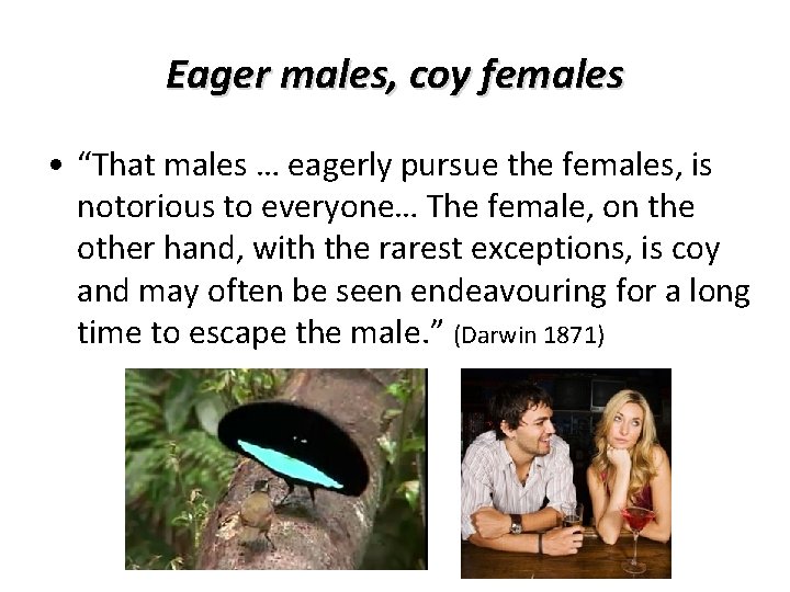 Eager males, coy females • “That males … eagerly pursue the females, is notorious