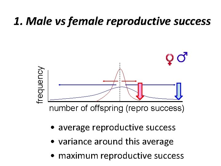 frequency 1. Male vs female reproductive success number of offspring (repro success) • average
