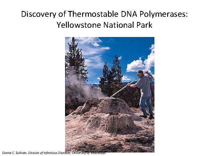 Discovery of Thermostable DNA Polymerases: Yellowstone National Park Donna C. Sullivan, Division of Infectious