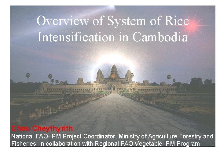 Overview of System of Rice Intensification in Cambodia Chou Cheythyrith National FAO-IPM Project Coordinator,