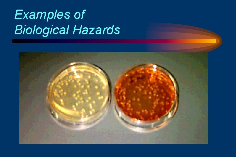 Examples of Biological Hazards 