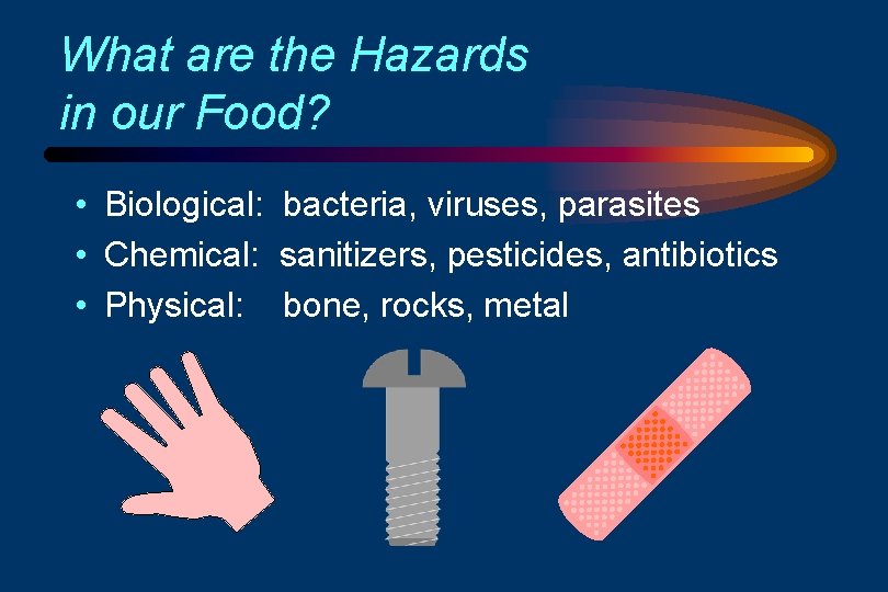 What are the Hazards in our Food? • Biological: bacteria, viruses, parasites • Chemical: