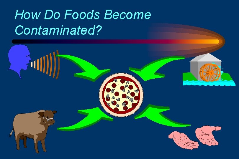 How Do Foods Become Contaminated? 