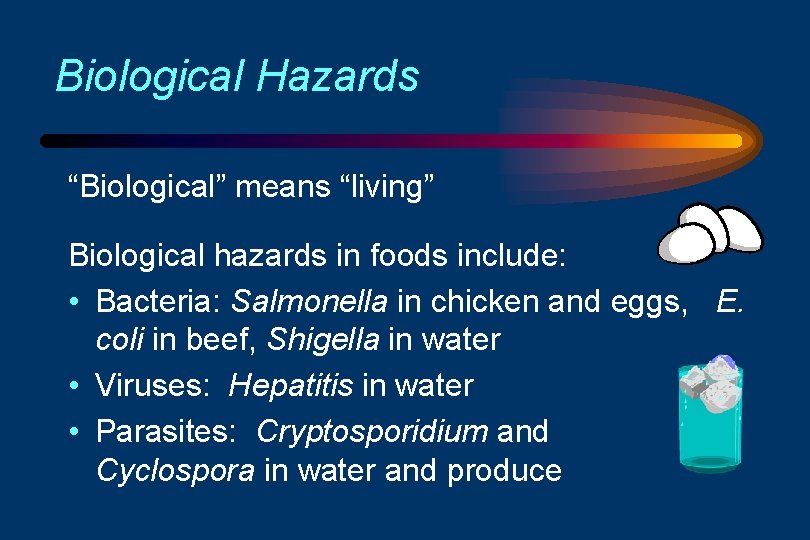 Biological Hazards “Biological” means “living” Biological hazards in foods include: • Bacteria: Salmonella in
