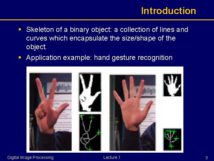 Introduction § Skeleton of a binary object: a collection of lines and curves which