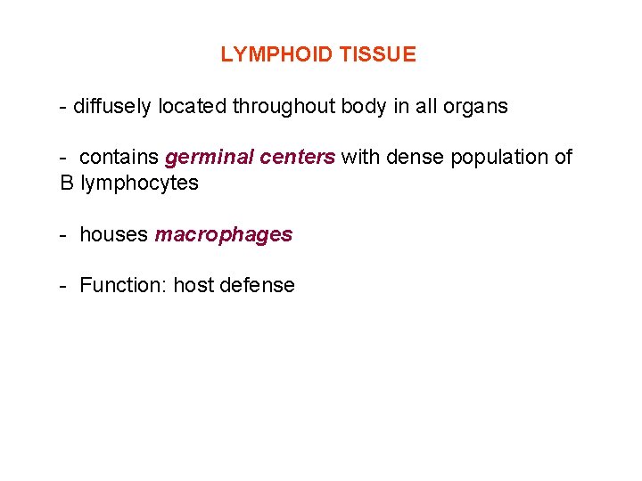 LYMPHOID TISSUE - diffusely located throughout body in all organs - contains germinal centers