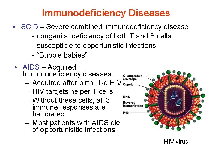 Immunodeficiency Diseases • SCID – Severe combined immunodeficiency disease - congenital deficiency of both