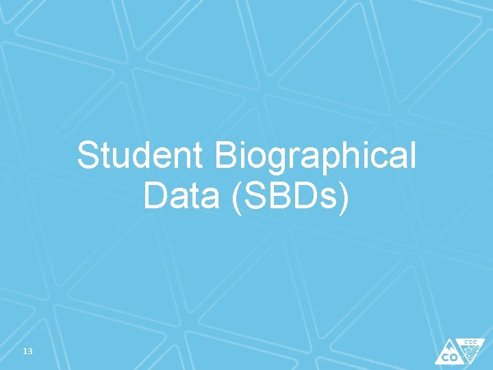 Student Biographical Data (SBDs) 13 