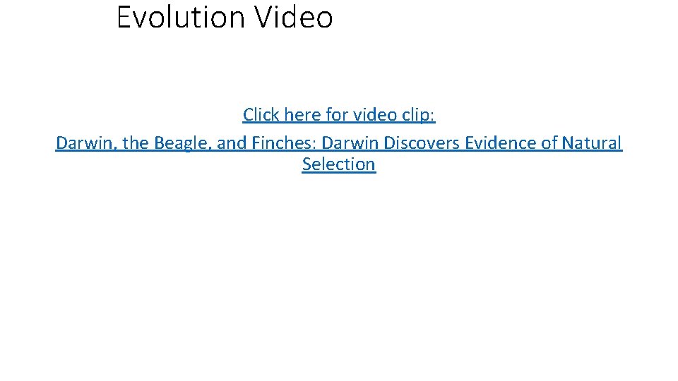 Evolution Video Click here for video clip: Darwin, the Beagle, and Finches: Darwin Discovers