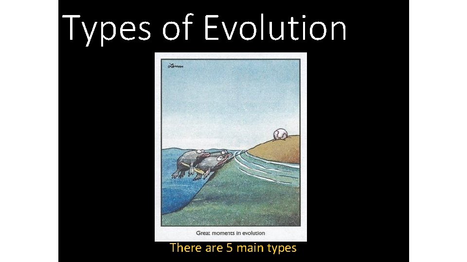 Types of Evolution There are 5 main types 